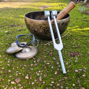 Initiation à la sonothérapie pour praticiens : enrichir sa pratique bien-être avec le son